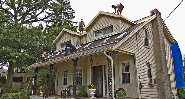 Roof Gutter Cleaning in Zwolle, LA