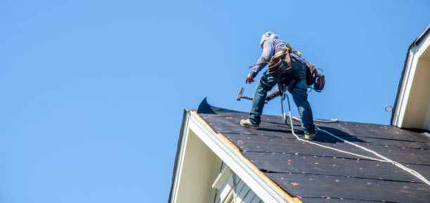Best Roof Gutter Cleaning  in Zwolle, LA